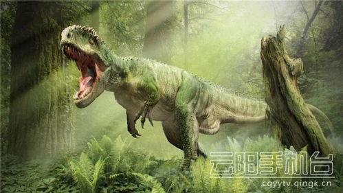 霸王龙最新爆料新闻,揭秘史前巨兽的神秘生活  第2张 霸王龙最新爆料新闻,揭秘史前巨兽的神秘生活  第2张